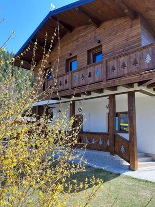 Фото Гостевой дом Chalet Mugure de Brad г. Фунду Молдовей